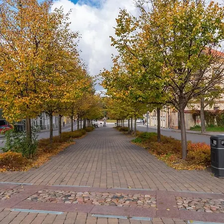 Апартаменты Cozy Urban Вильнюс